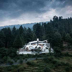 Tree Of Life Eila Art Hotel, Manali